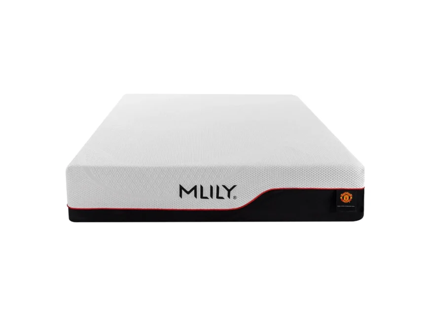 Mlily The Dream Memory Foam.